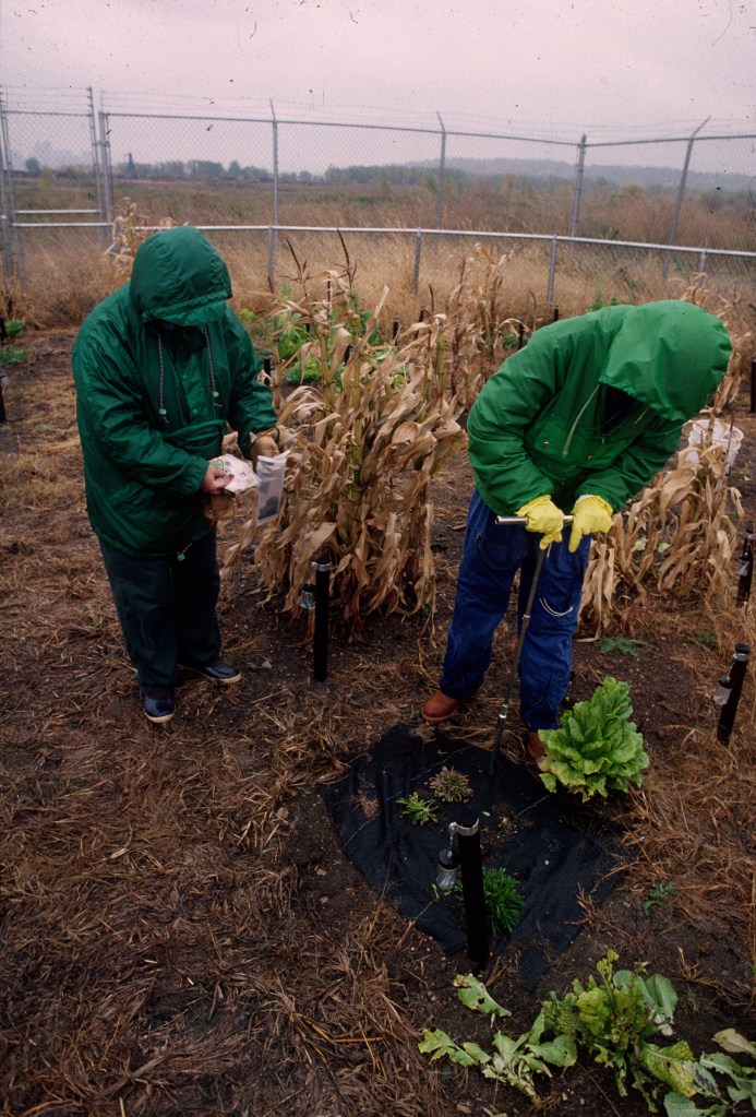 Revival Field 1993, Soilsampling, Photo curtesy of Mel Chin