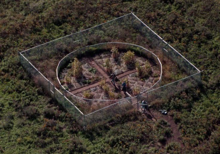 Revival Field 1993, Aerial view, Photo curtesy of Mel Chin