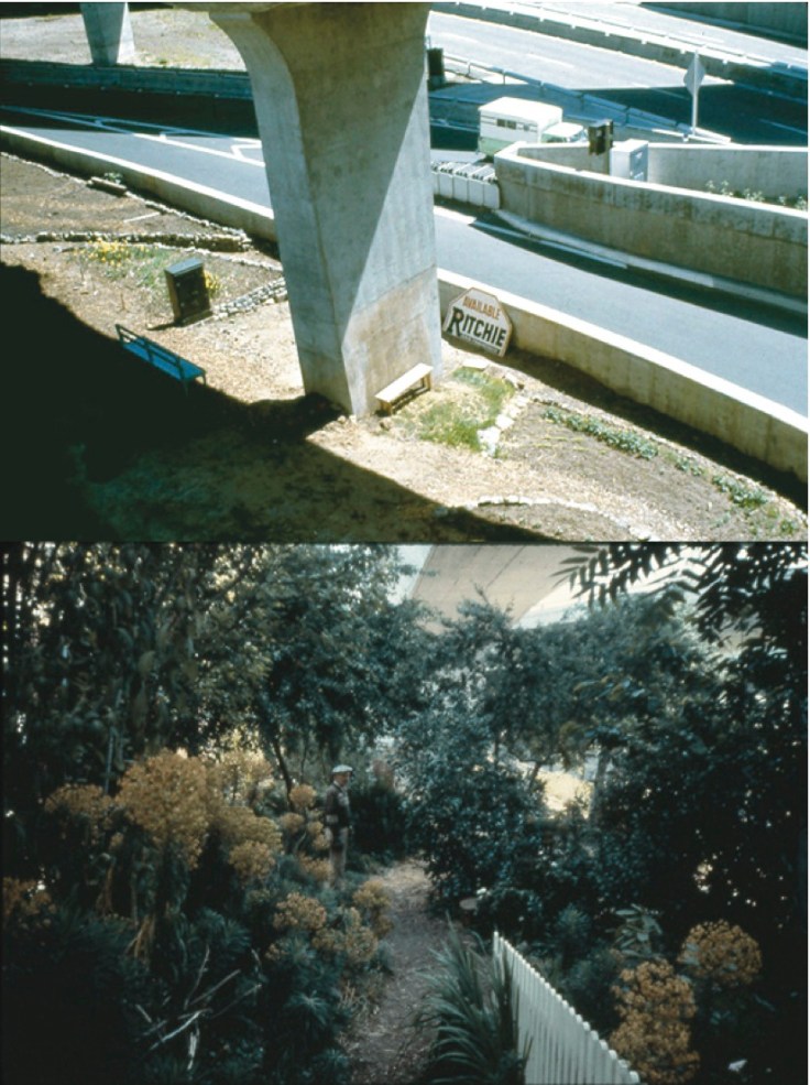Scene from Crossroads Community (the farm) - BEFORE & AFTER - First Garden on State Land © 1975-1980 Bonnie Ora Sherk