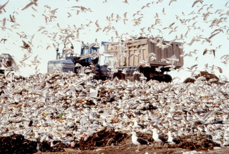 Mierle Laderman Ukeles, Freshkills Landfill, 2001 Staten Island, New York Courtesy of Ronald Feldman Fine Arts, New York