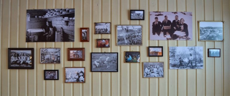 Rømekolle Revival_fotosamling_1024x429