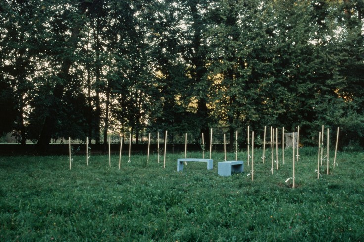 Plumspinney with benches for talking korr4