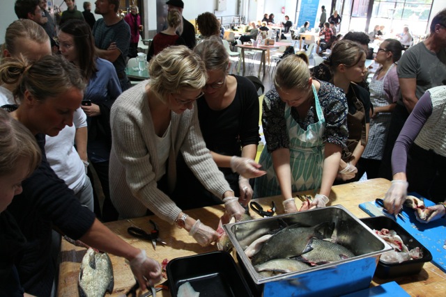 Renell, Waste fish day 1