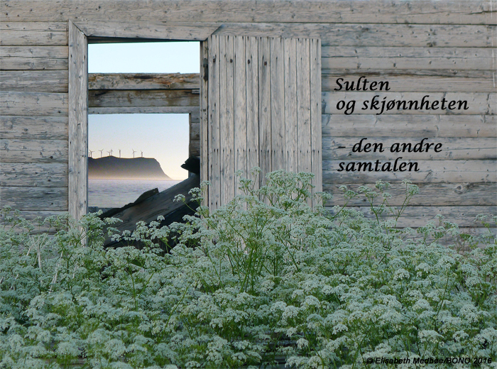 plakat-sultenogskjønnh2_m©72dpi