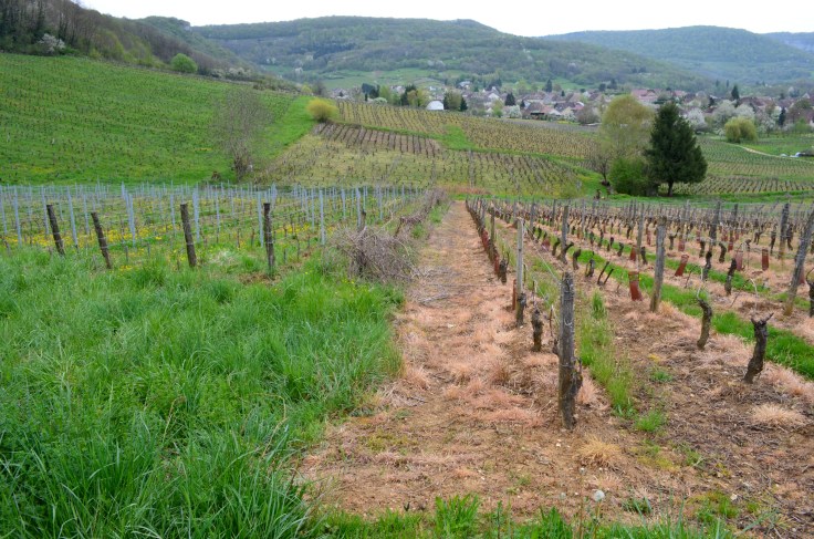 konventionelnaturvinmark-overgang-apr-26